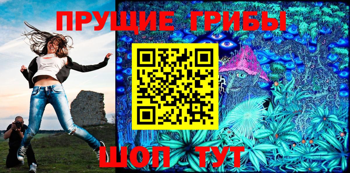 Галлюциногенные грибы прущие грибы  Вход с VPN  Вичуга 